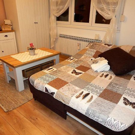 Studio Apartman Tvrtko วาราชดีน ภายนอก รูปภาพ