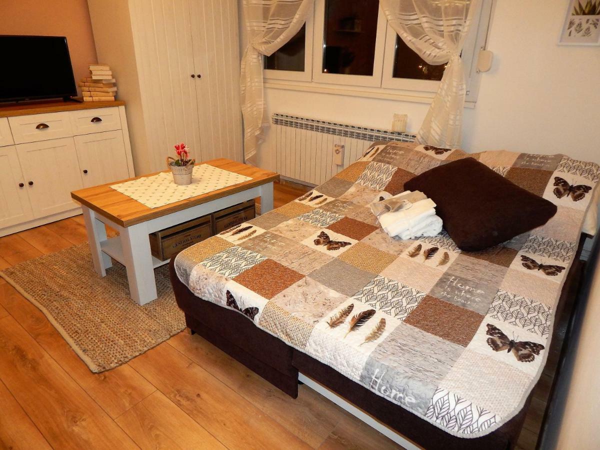 Studio Apartman Tvrtko วาราชดีน ภายนอก รูปภาพ