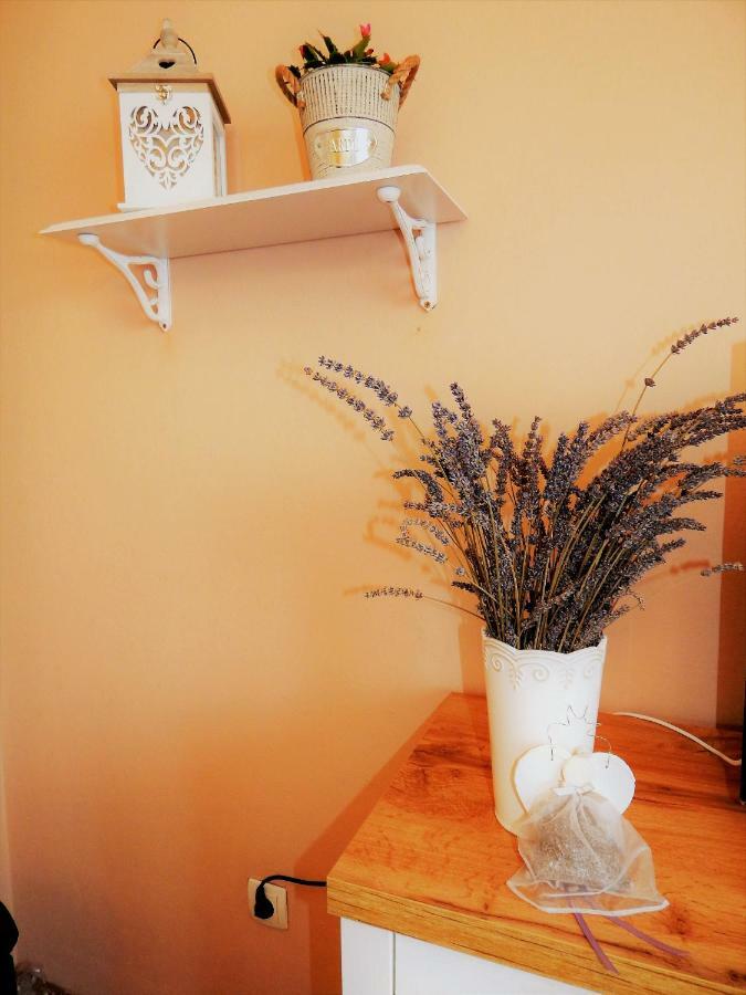 Studio Apartman Tvrtko วาราชดีน ภายนอก รูปภาพ